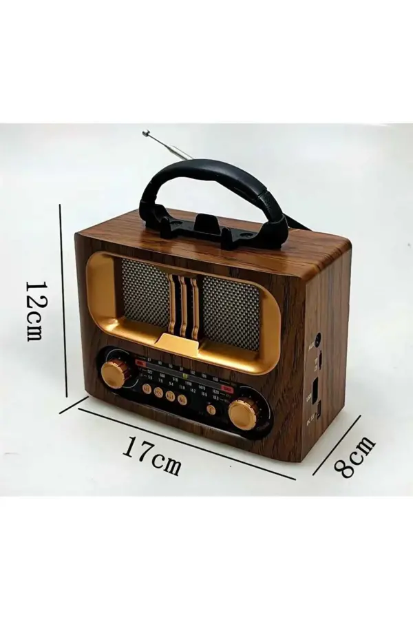 Everton RT-751 USB BT Nostaljik Radyo Müzik Çalar - Görsel 2