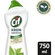 Cif Krem Amonyaklı Yüzey Temizleyici 750 ml